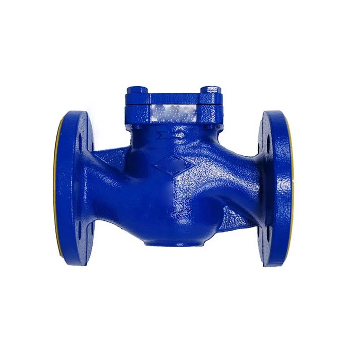 Lift Check Valve