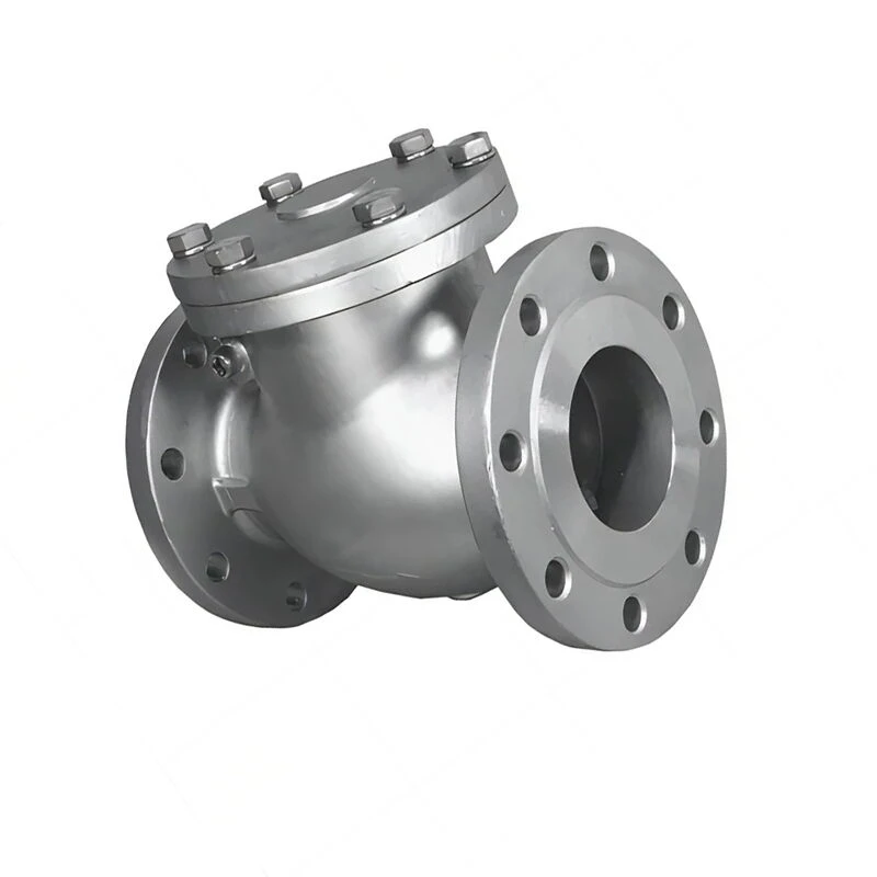 Swing Check Valve