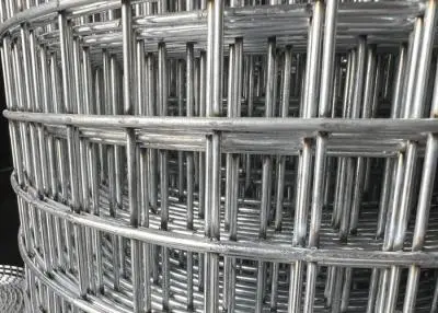Welded Wire Mesh