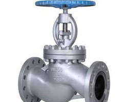 Globe  Valve