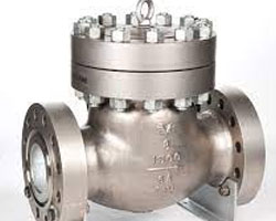 Swing Check Valve