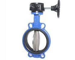 Butterfly Valve